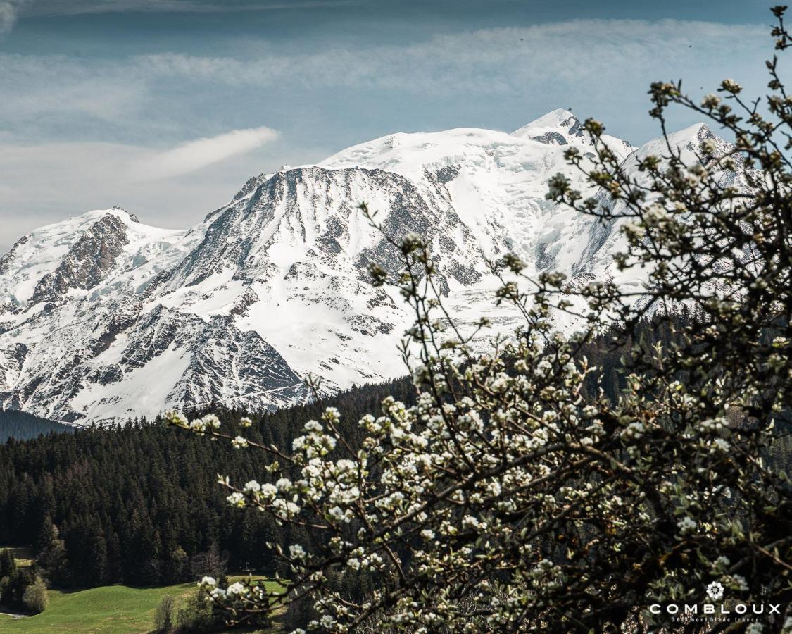 Chalet Alpen Valley, Mont-Blanc Combloux Buitenkant foto